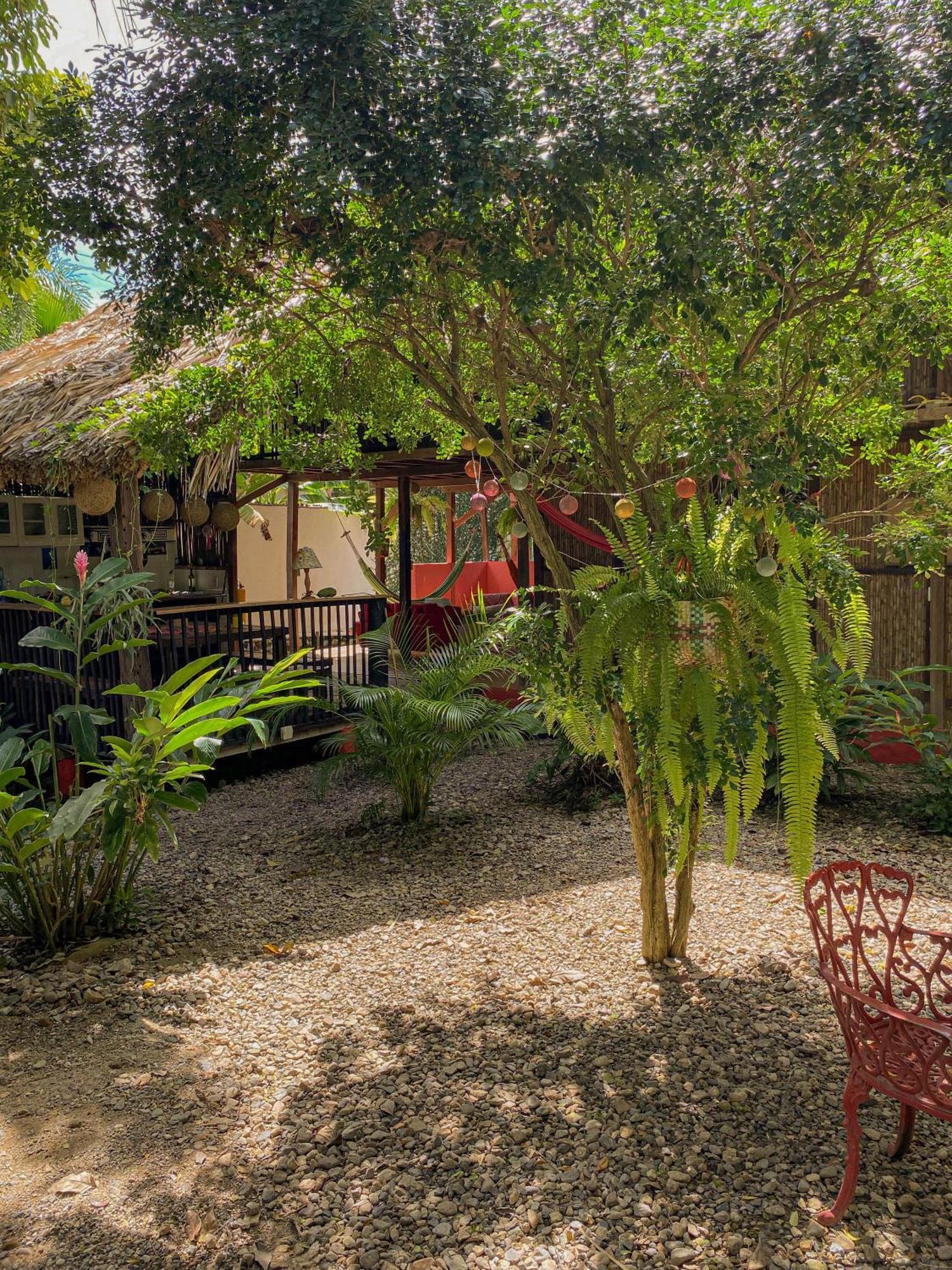 Hostal Zinpar Паломино Екстериор снимка